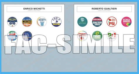 vpota|per cosa si vota oggi.